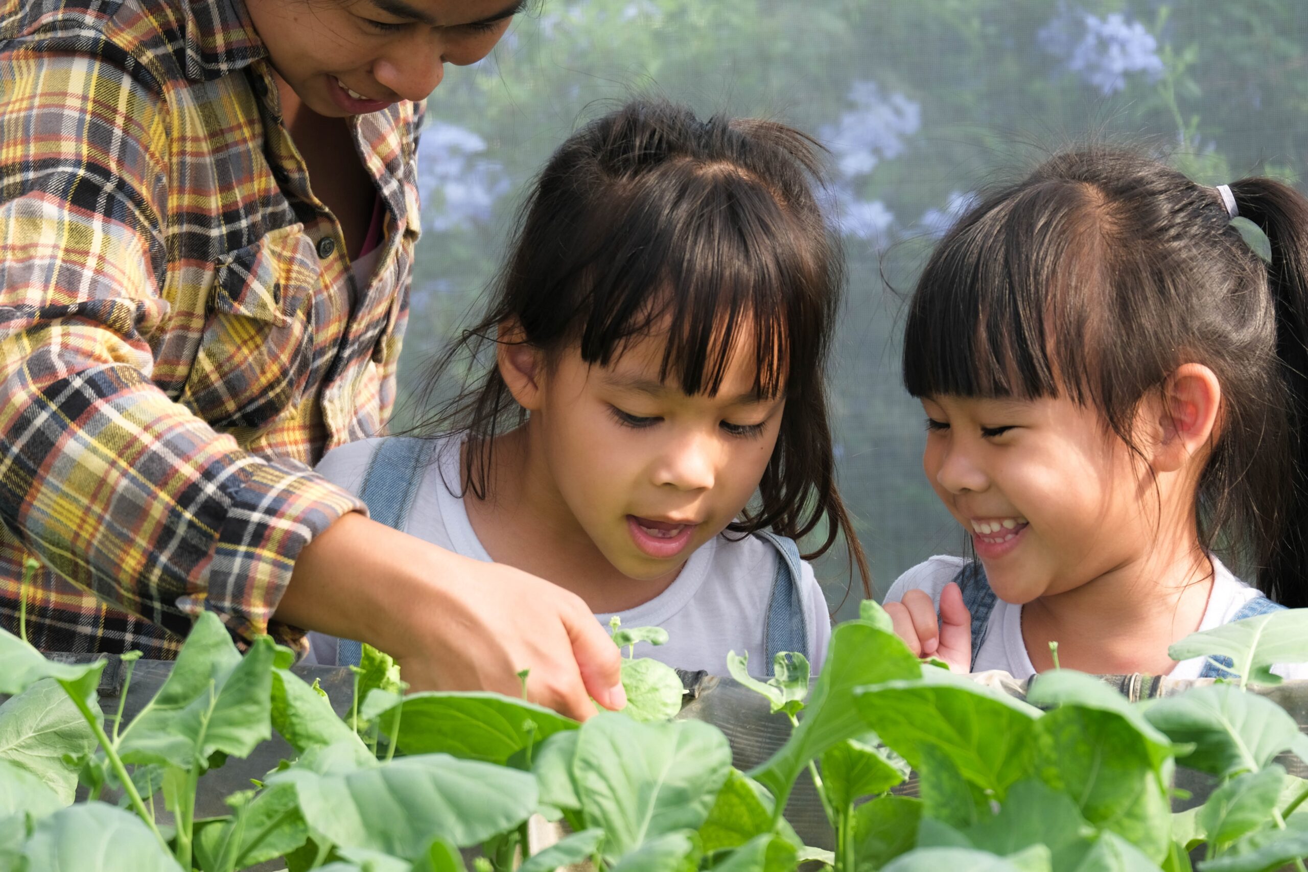 Amazing Learning Moments in the Childcare Centre's Vegetable Garden