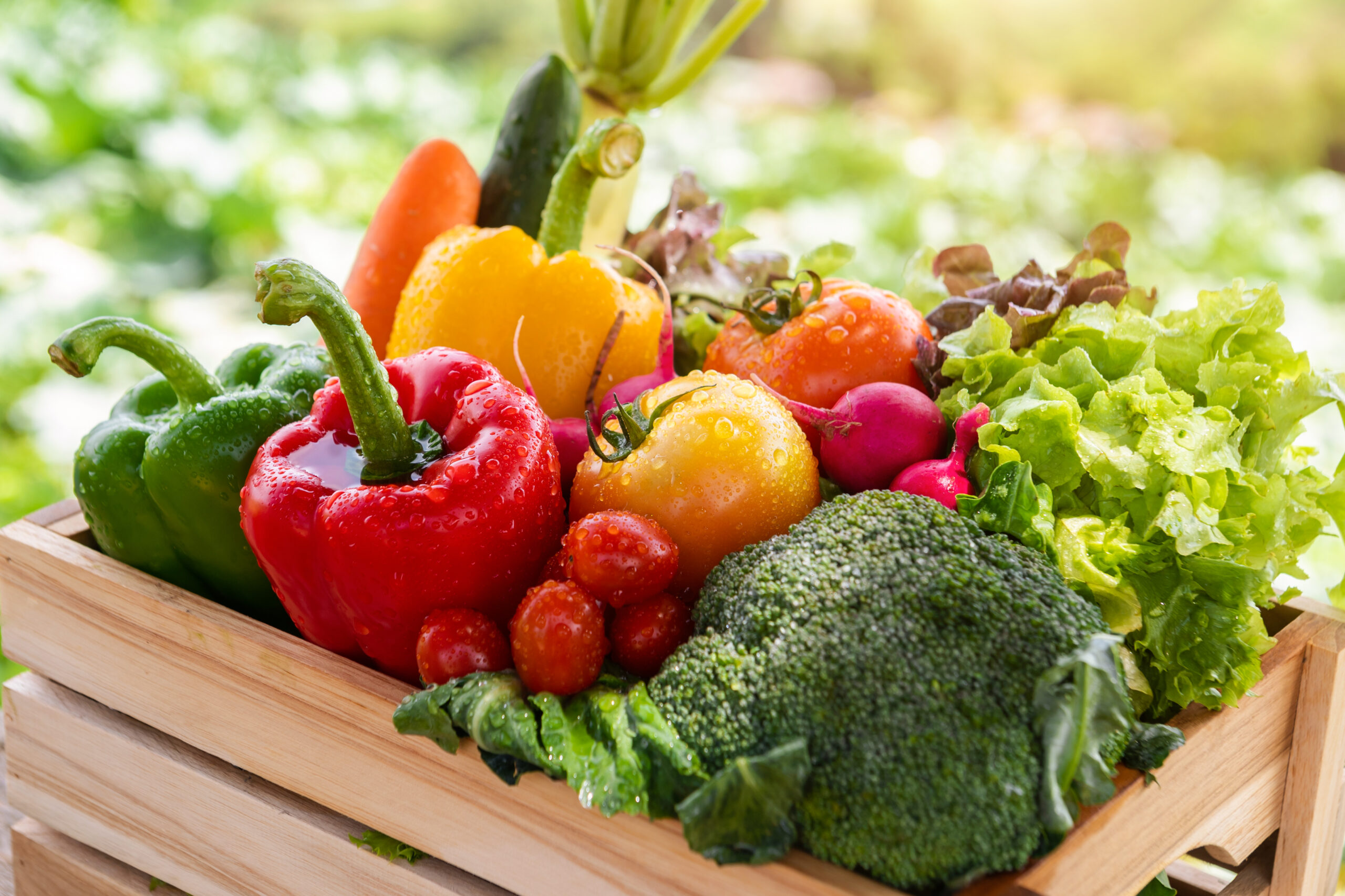 Colorful Foods Healthy Starts The Joy of Eating the Rainbow with Your Kids