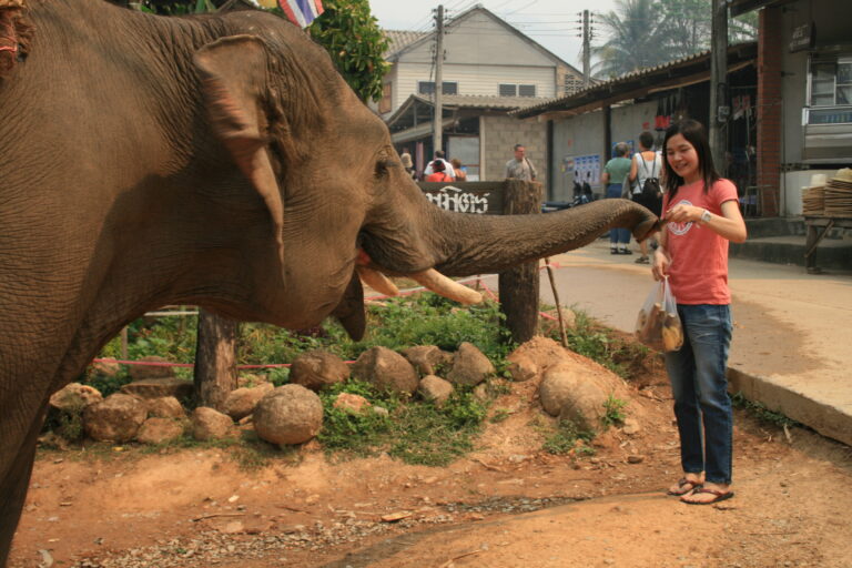 VarakulRoss.com - My Trip to Chiang Rai