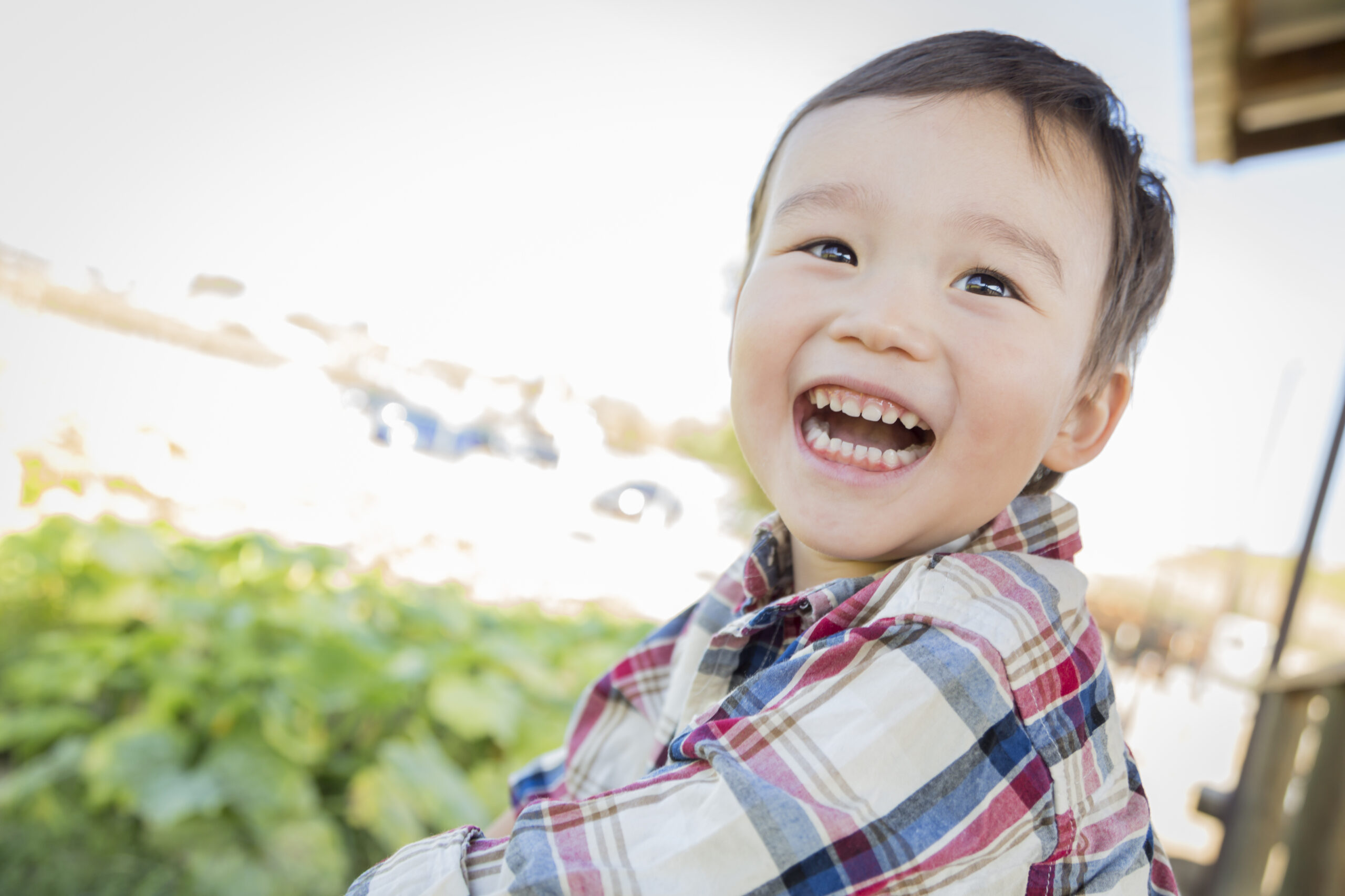 Creating a Circle of Security: Fostering Emotional Safety in Early Childhood Settings